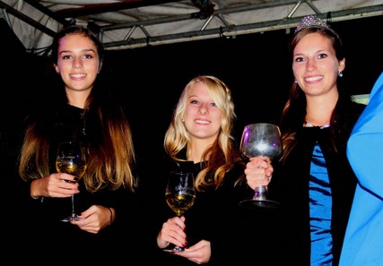 Winzerfest 2015 - 025.jpg