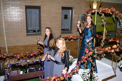 Winzerfest 2015 - 030.jpg